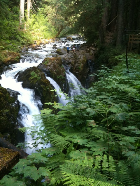 Image posted by MobyPicture.com