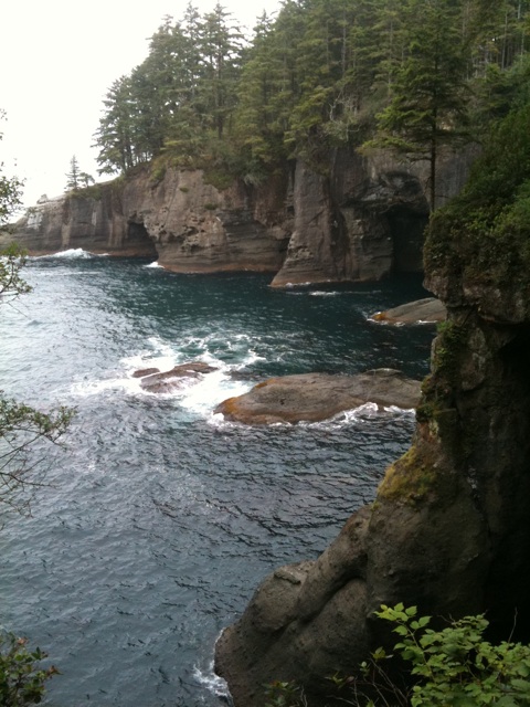 Image posted by MobyPicture.com