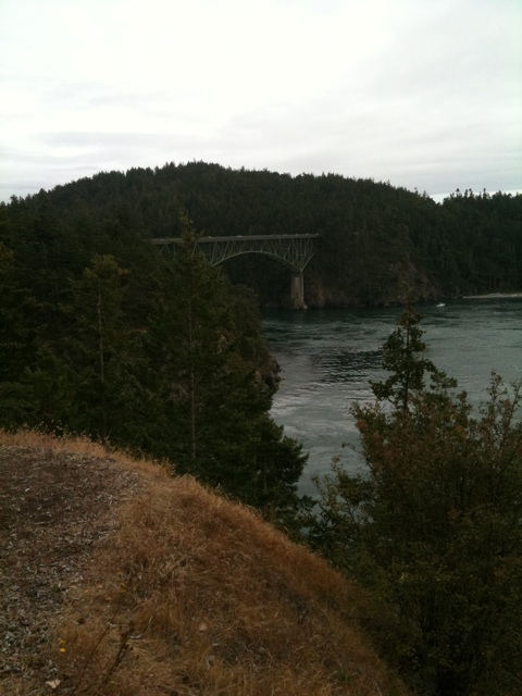 Image posted by MobyPicture.com