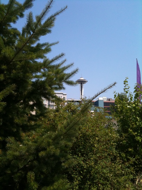 Image posted by MobyPicture.com