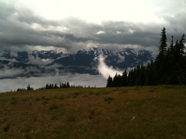 Image posted by MobyPicture.com